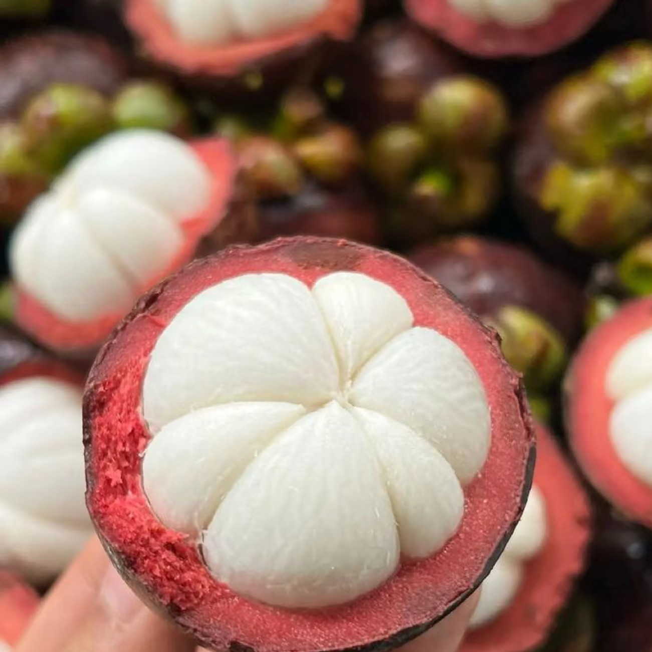 【只亏1000单！】正宗泰国进口山竹老树果新鲜当季水果1-5斤装今天拍明天到！