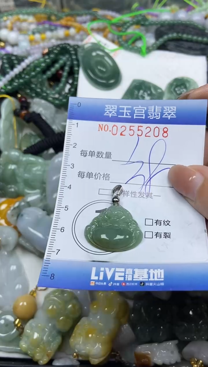 颈饰未镶嵌翡翠闪购C0255208