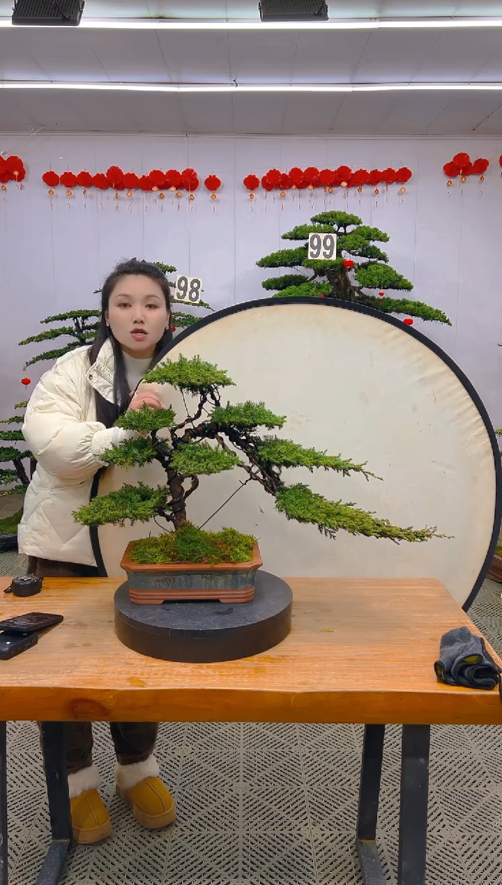 【闪购商品】盆景1