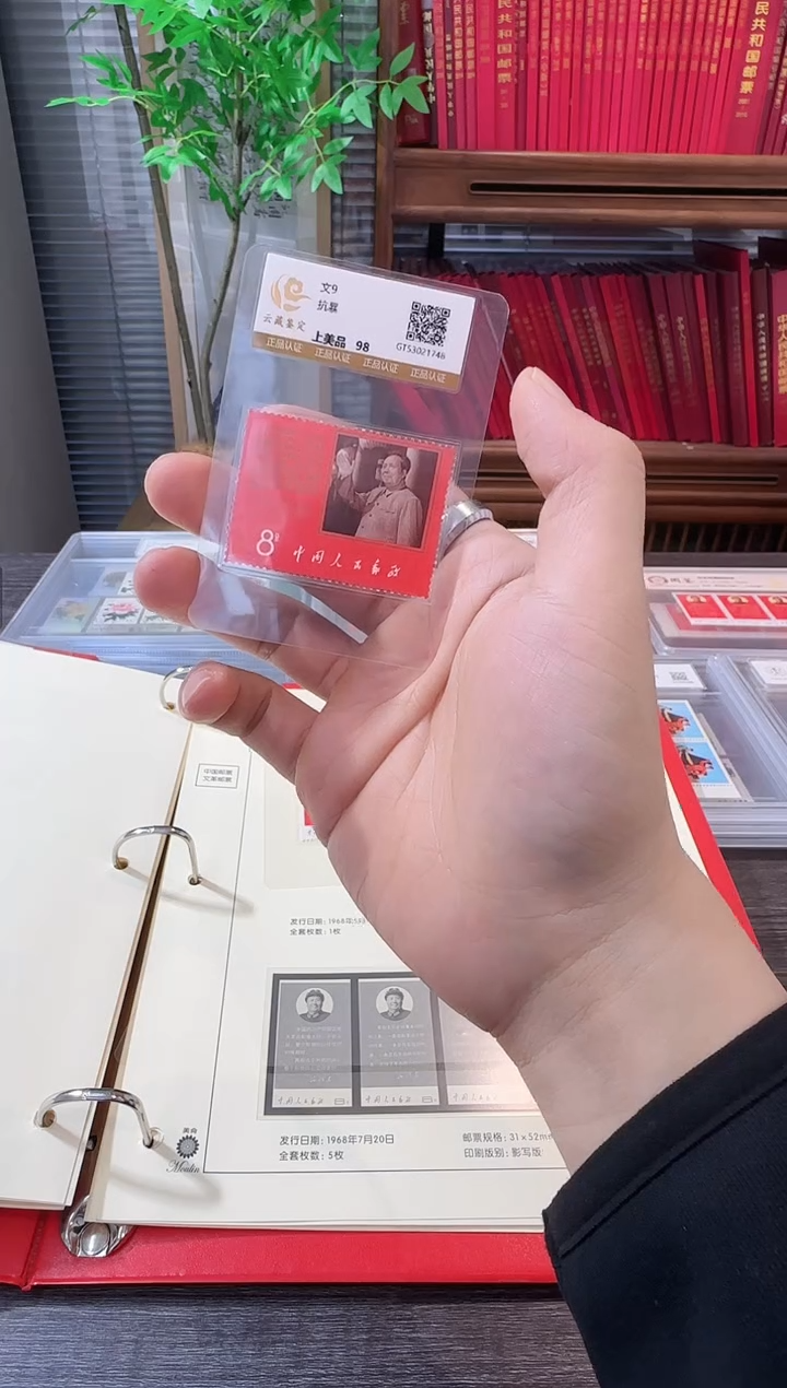 文9 封装评级鉴定收藏