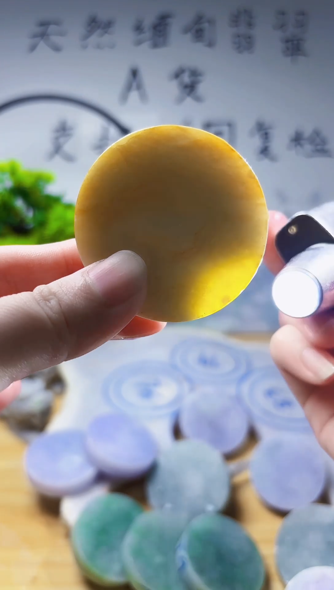 颈饰未镶嵌翡翠翡翠A货 谭752