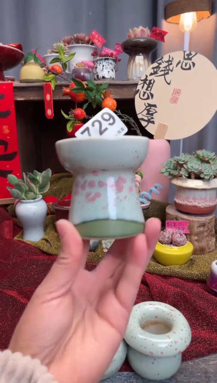 【闪购商品】摆件729知木小芳花盆编号