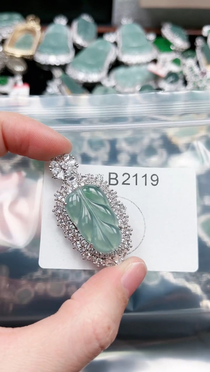 【闪购商品】翡翠颈饰未镶嵌赠皮绳2119