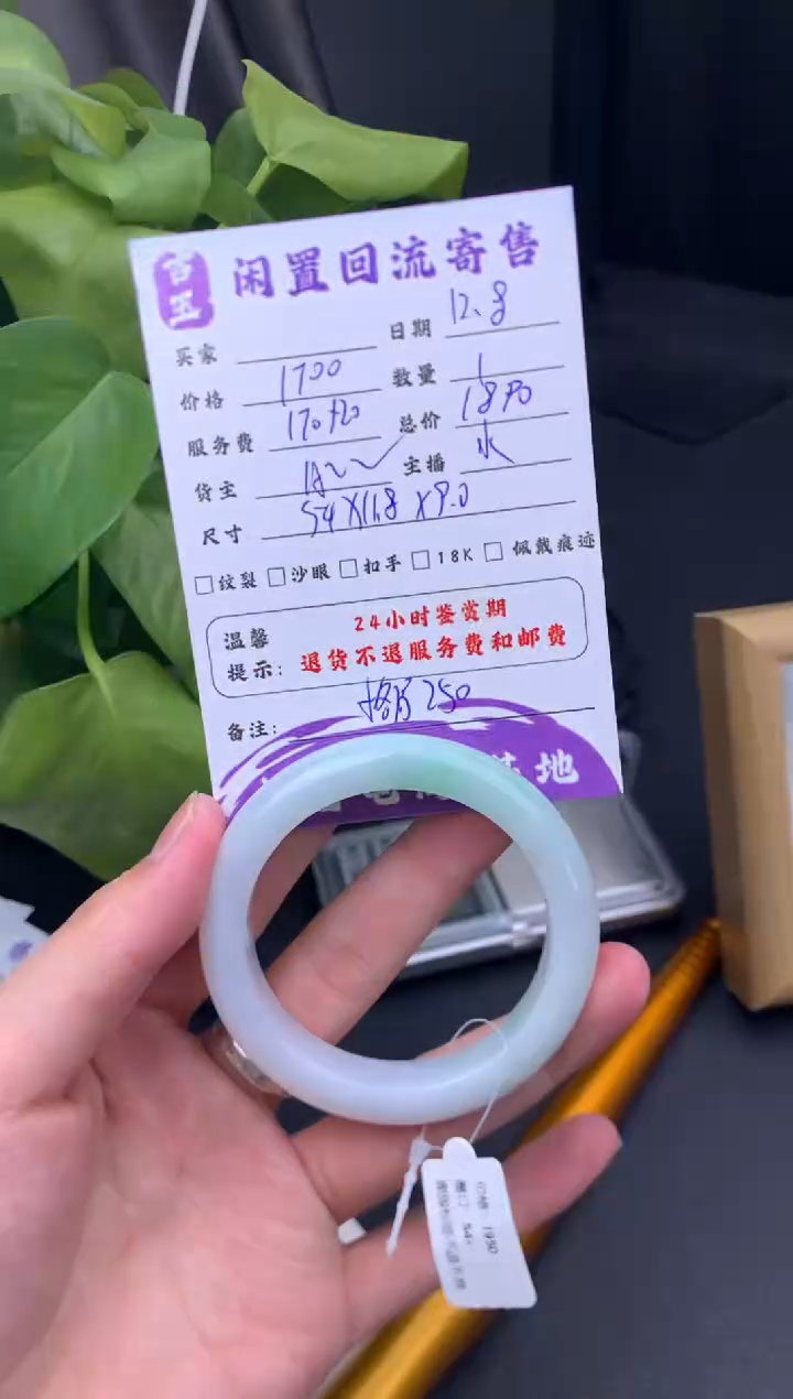 未镶嵌手镯翡翠手镯