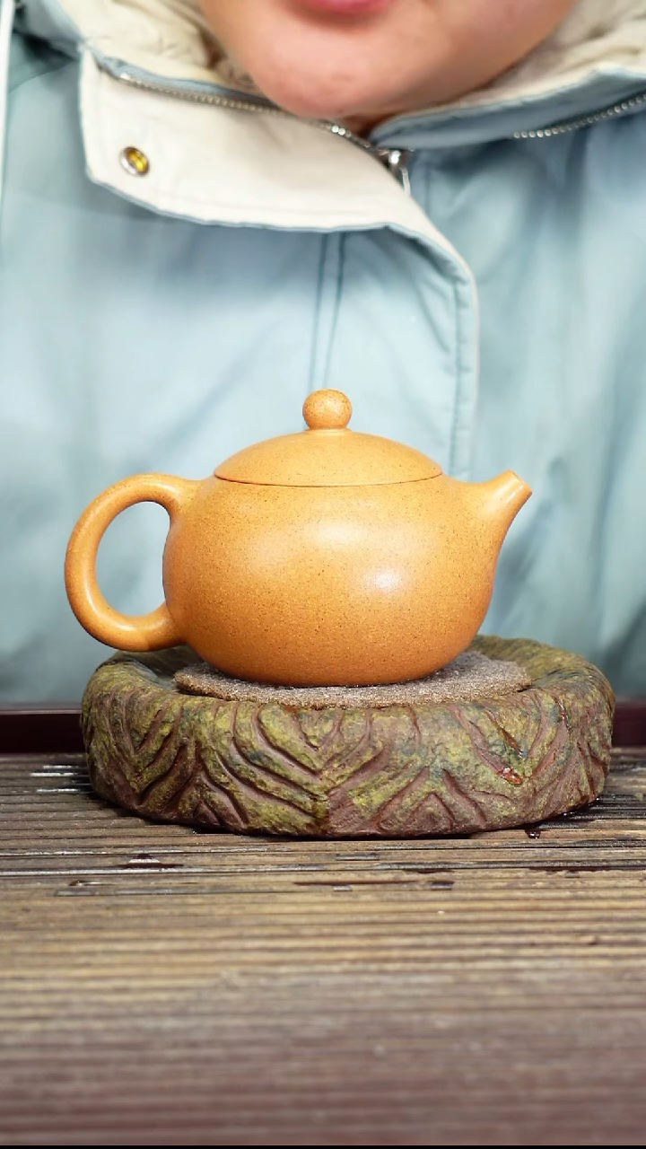 宜兴原矿紫砂壶茶壶250c