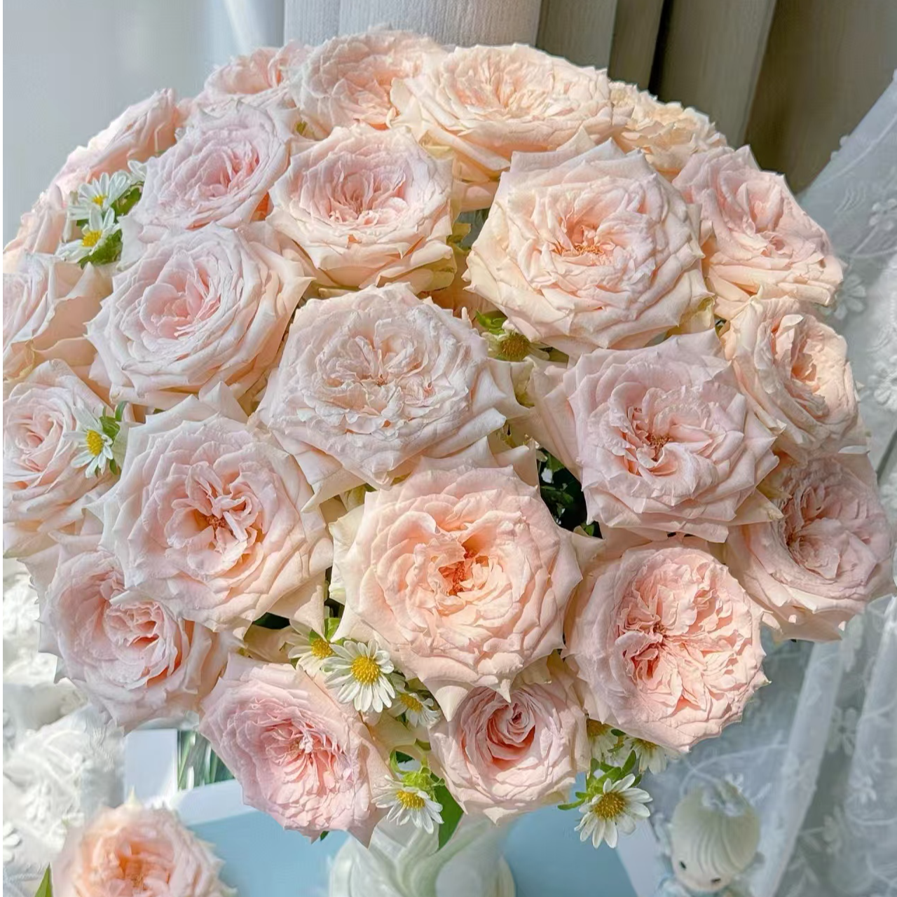 【独鬏鬏优选】A级鲜花 [双鱼座]  单头玫瑰 家居瓶插装饰 鲜活采摘