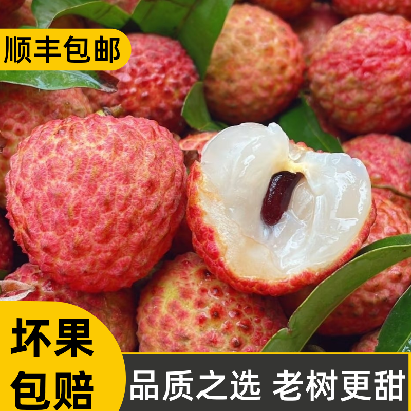 【顺丰次日达】荔枝老树果清甜可口荔枝同城送
