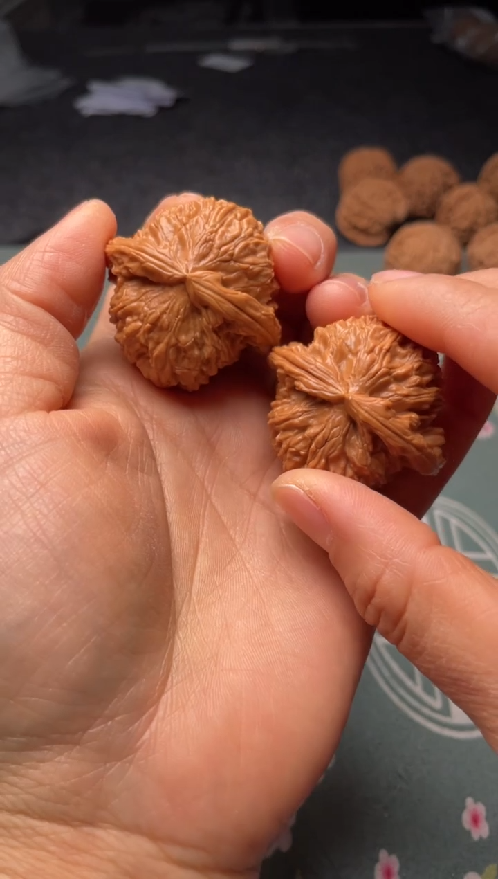 把件文玩核桃w304   白狮子40尺