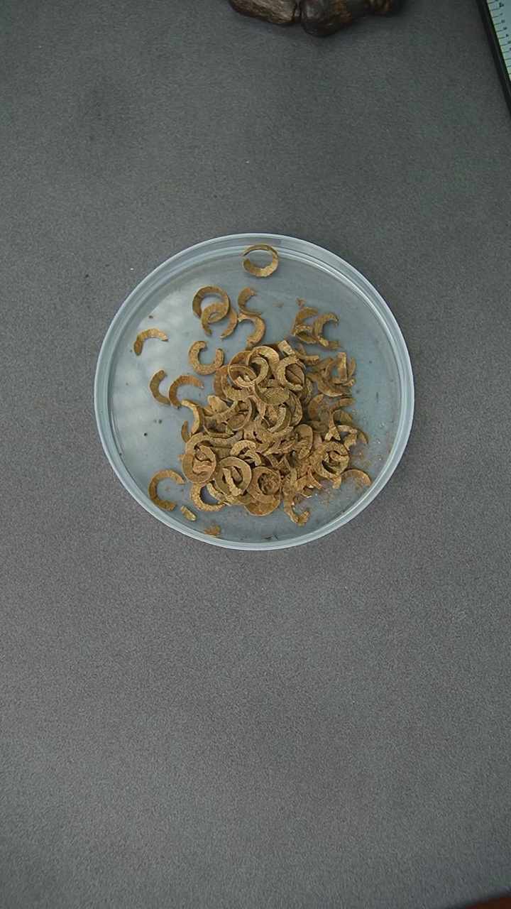 【闪购商品】沉香沉香碎屑5g正区文莱沉香碎屑