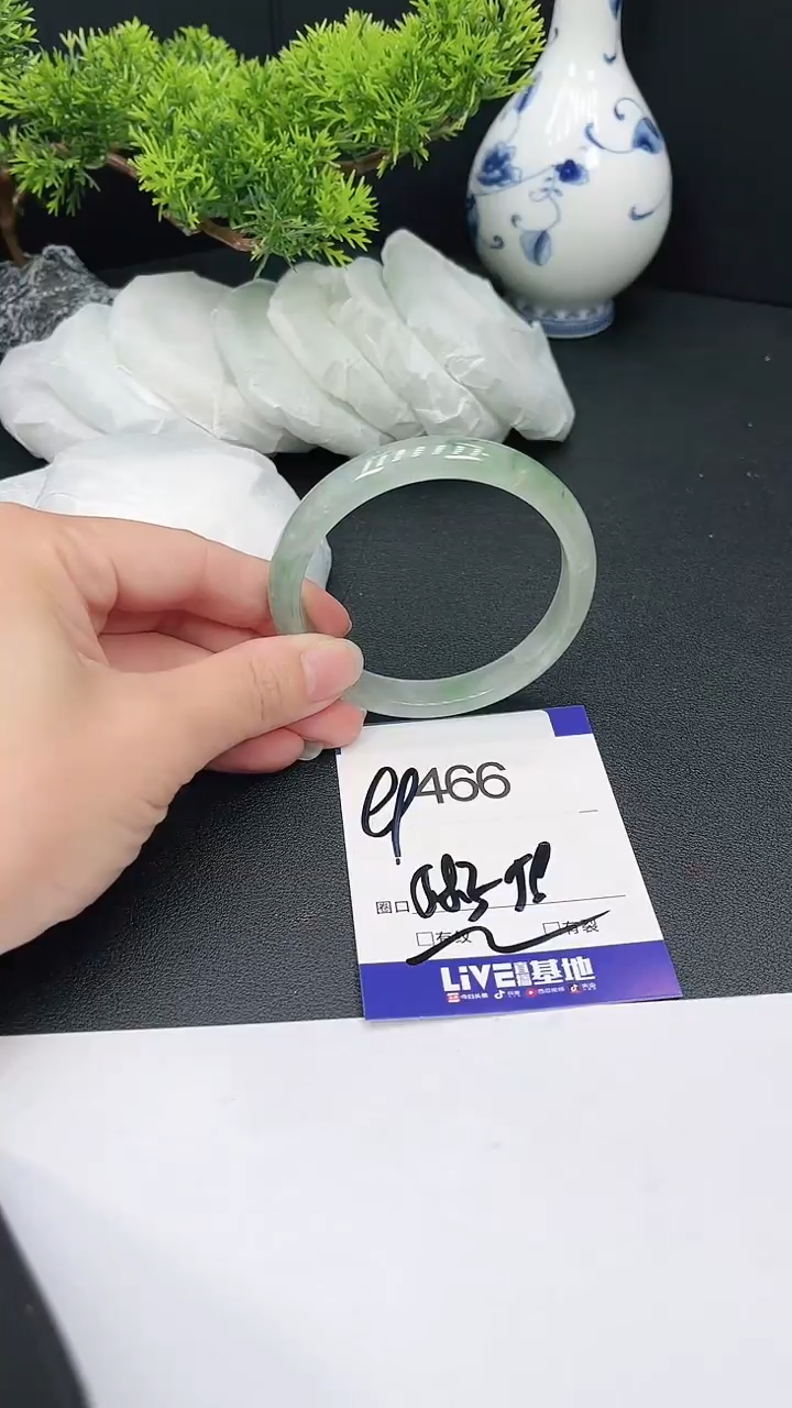 未镶嵌手镯翡翠466