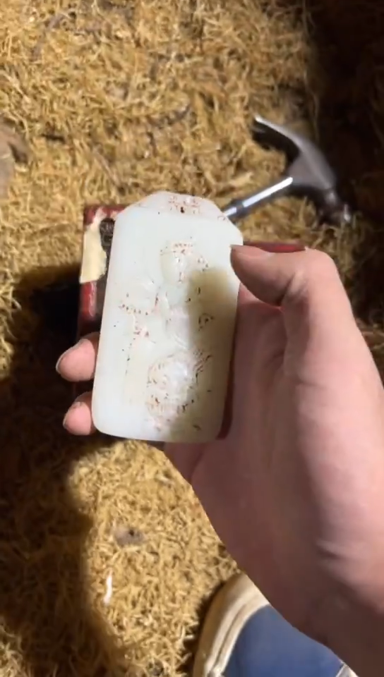 香榧木（1个白牌牌）