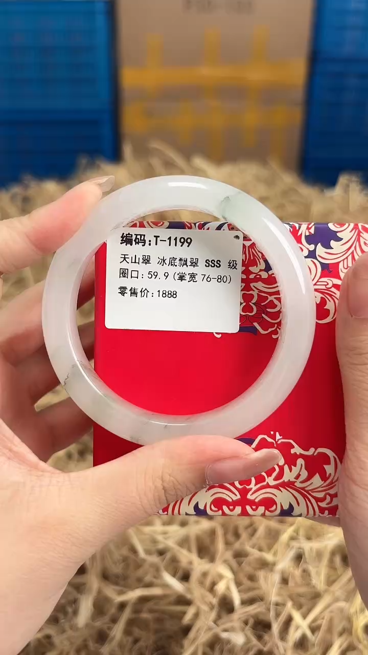 未镶嵌手镯石英质玉T-1199