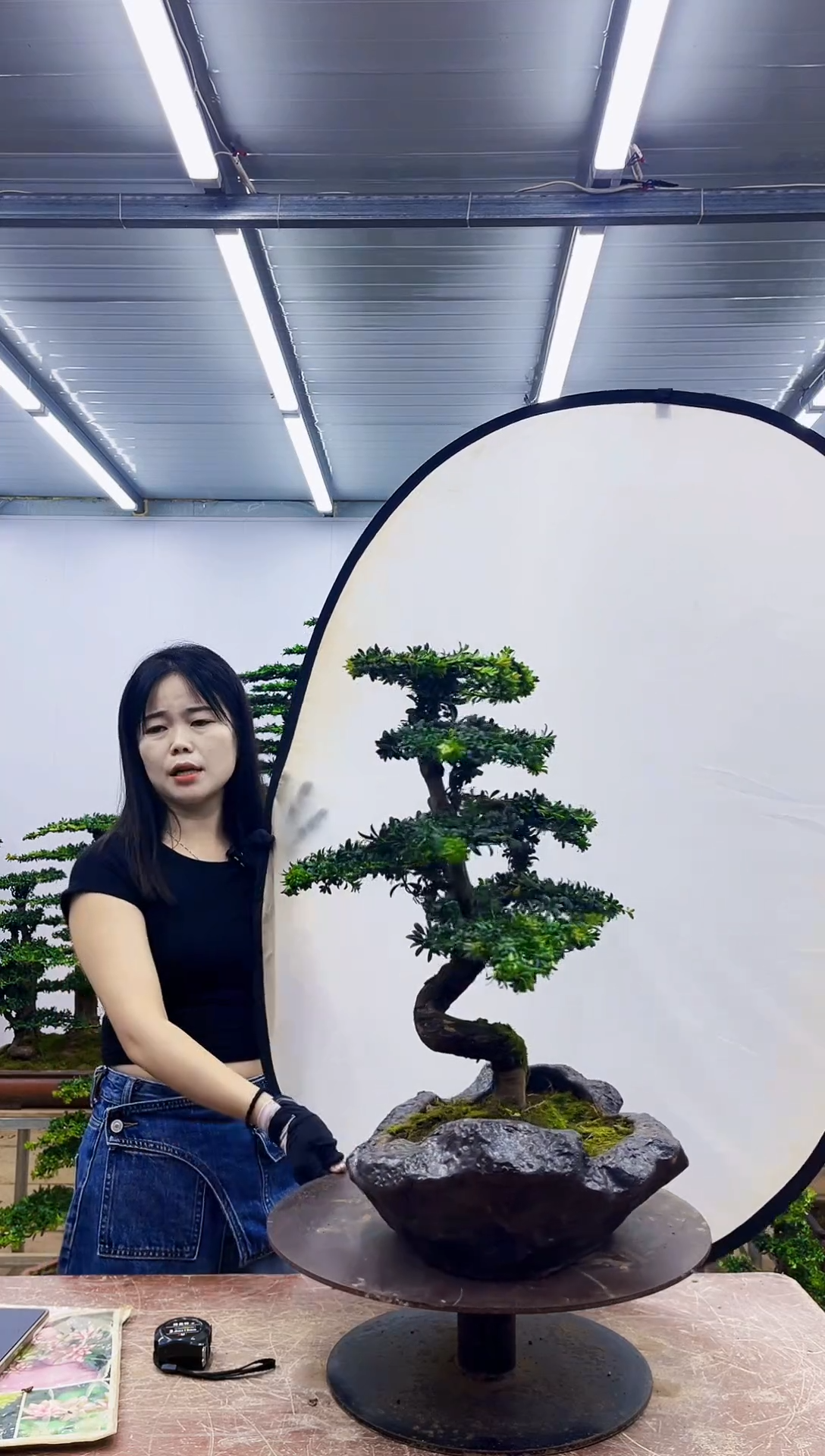 无花朵一物一拍，所见即所得