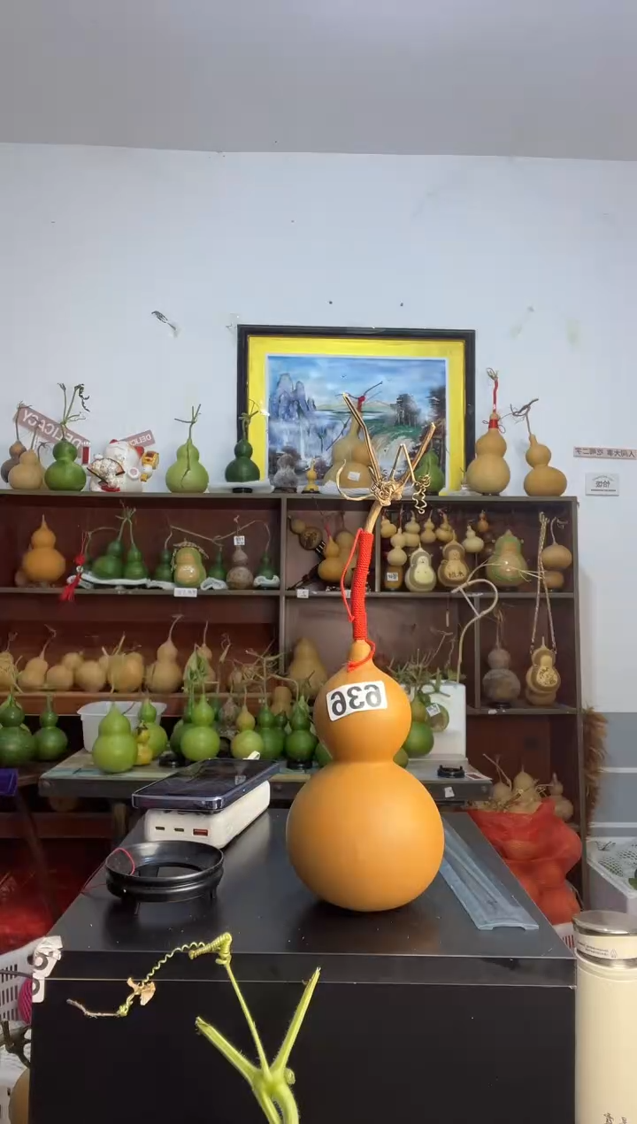 n***9836天然葫芦摆件 一物一拍龙头不保售后