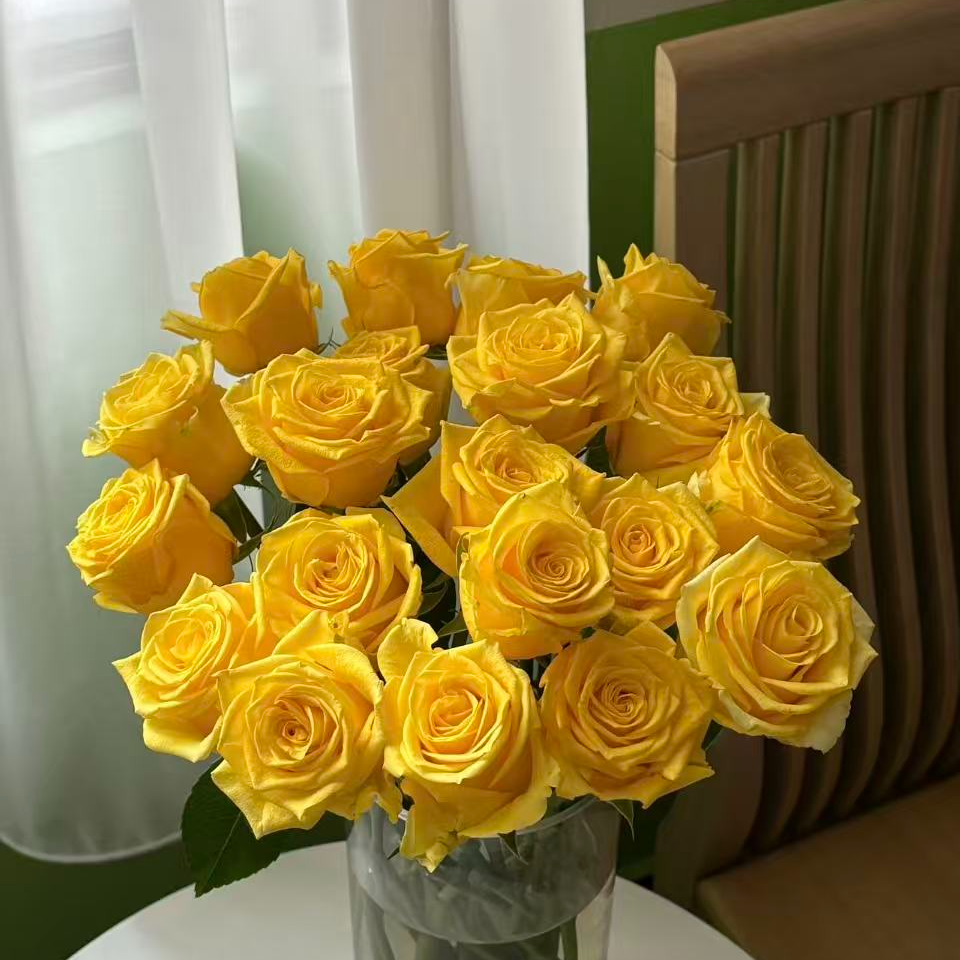 【黄色系玫瑰 10支】  任意2单升级顺丰/德邦