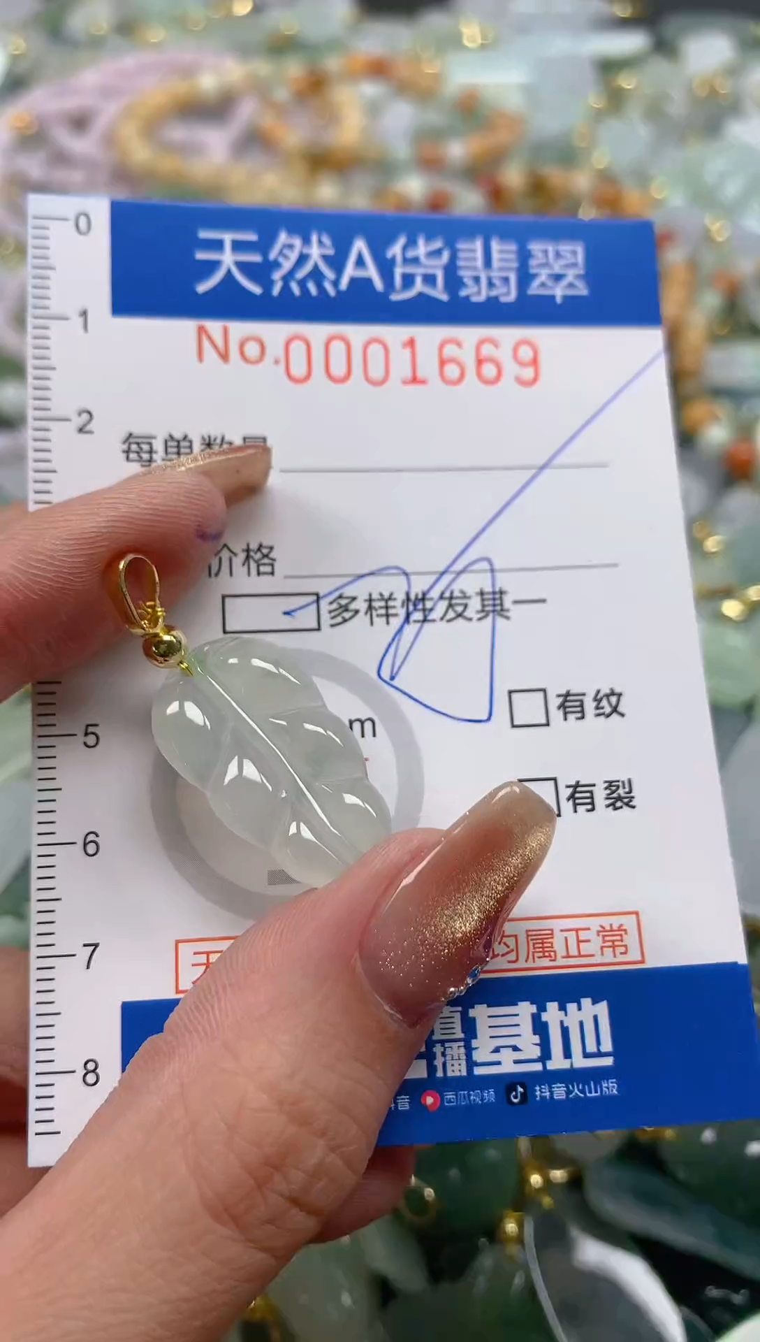 颈饰未镶嵌翡翠天然A货翡翠