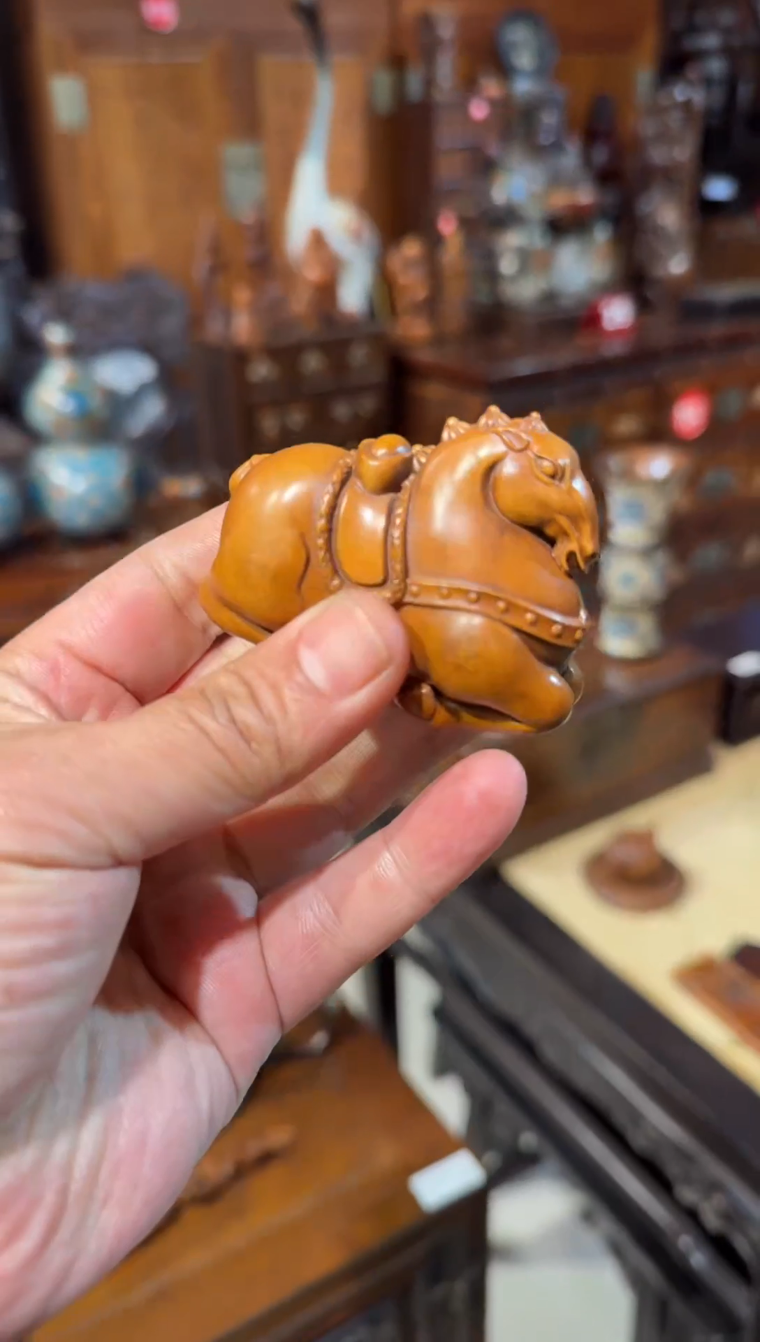 木黄杨木马上有钱60.8888888888