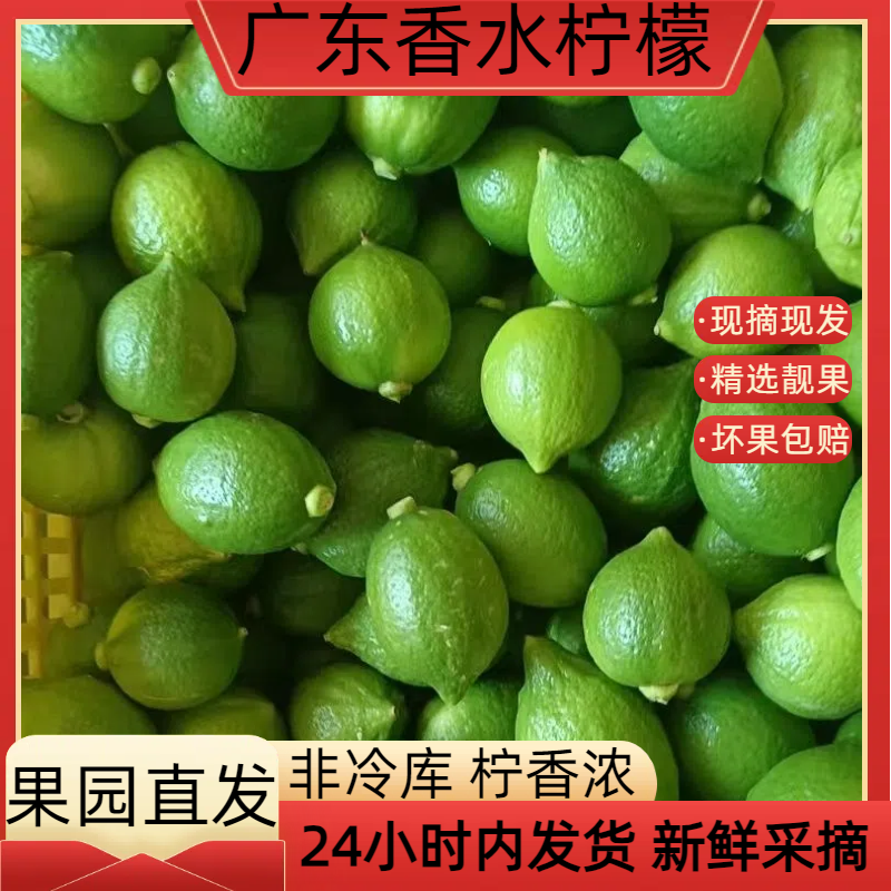 广东香水柠檬次一级果3/5斤无籽香气浓郁新鲜现发特惠