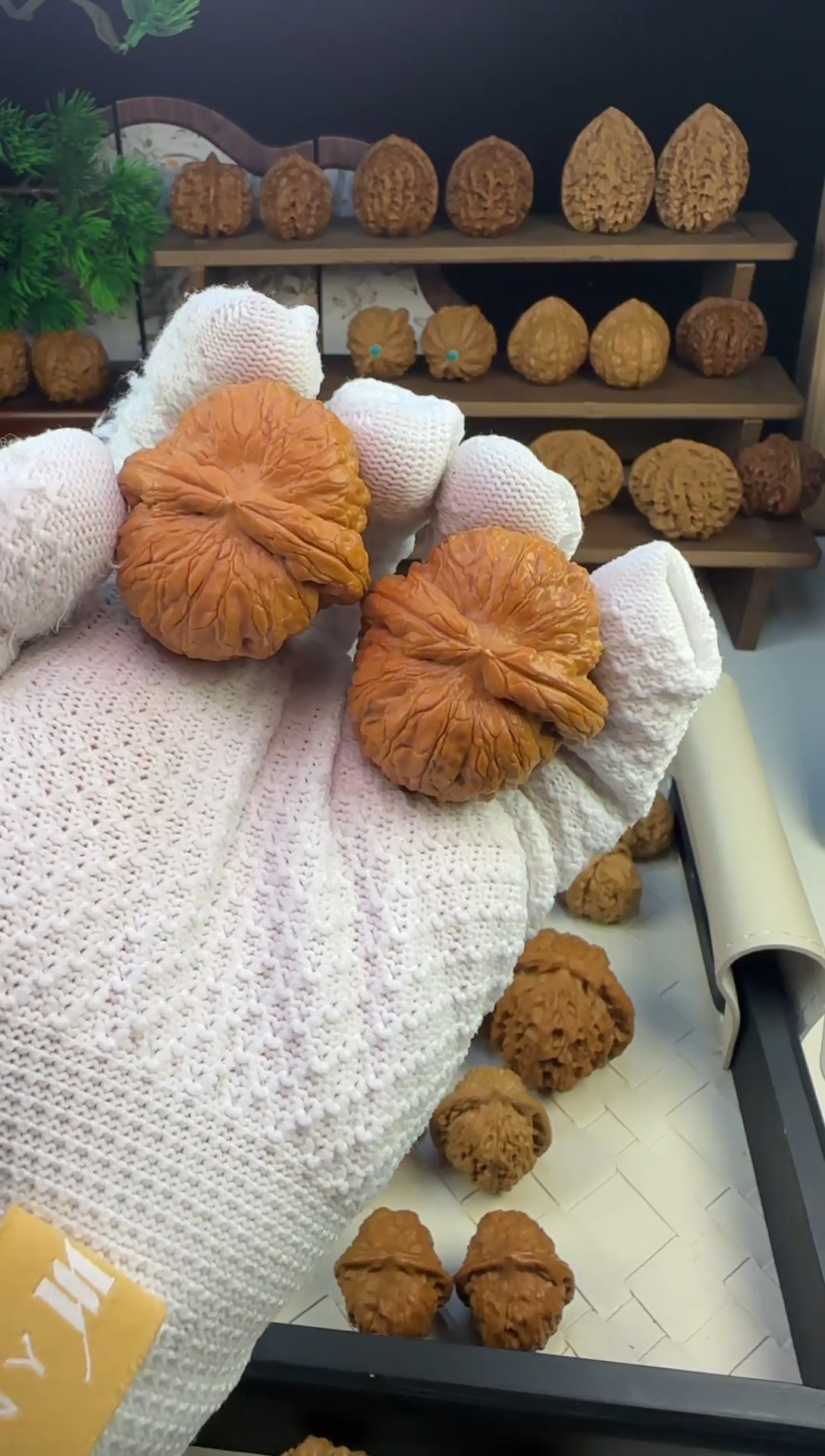 【闪购商品】文玩核桃把件41全品元宝