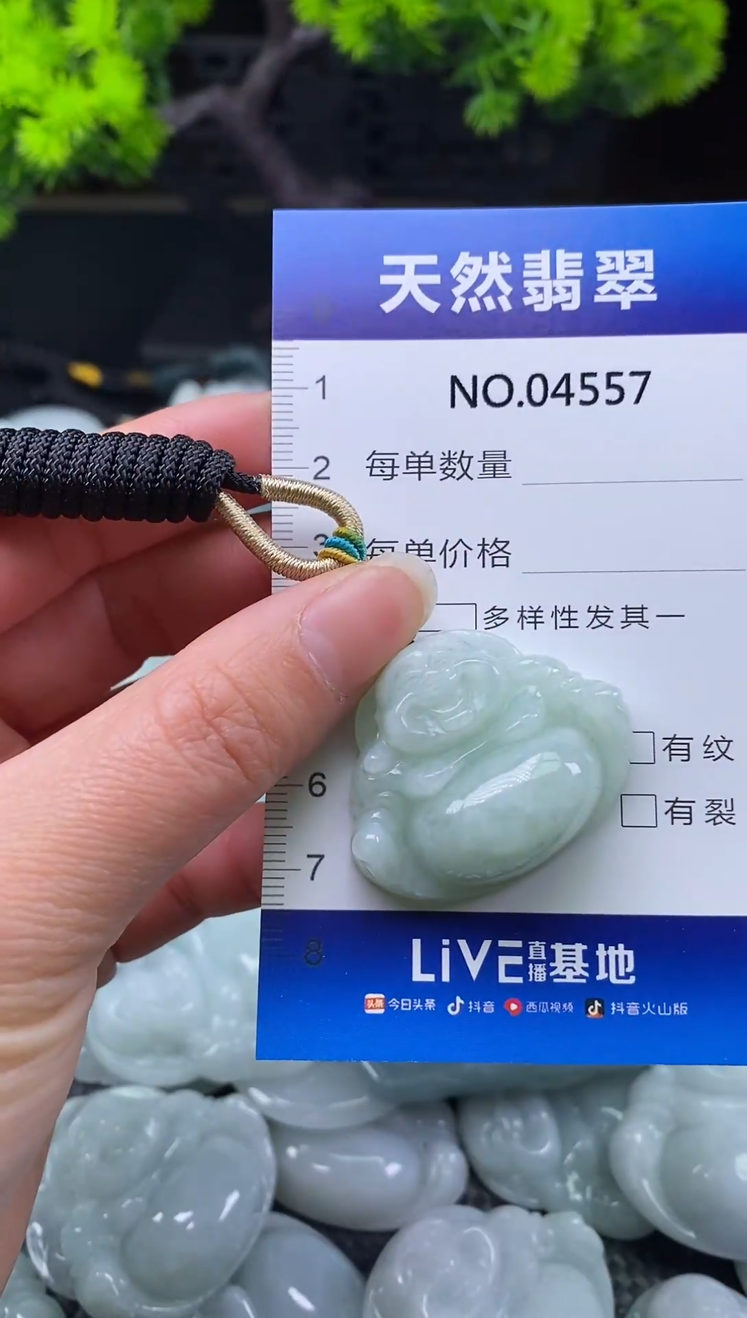未镶嵌挂件翡翠天然缅甸翡翠4557