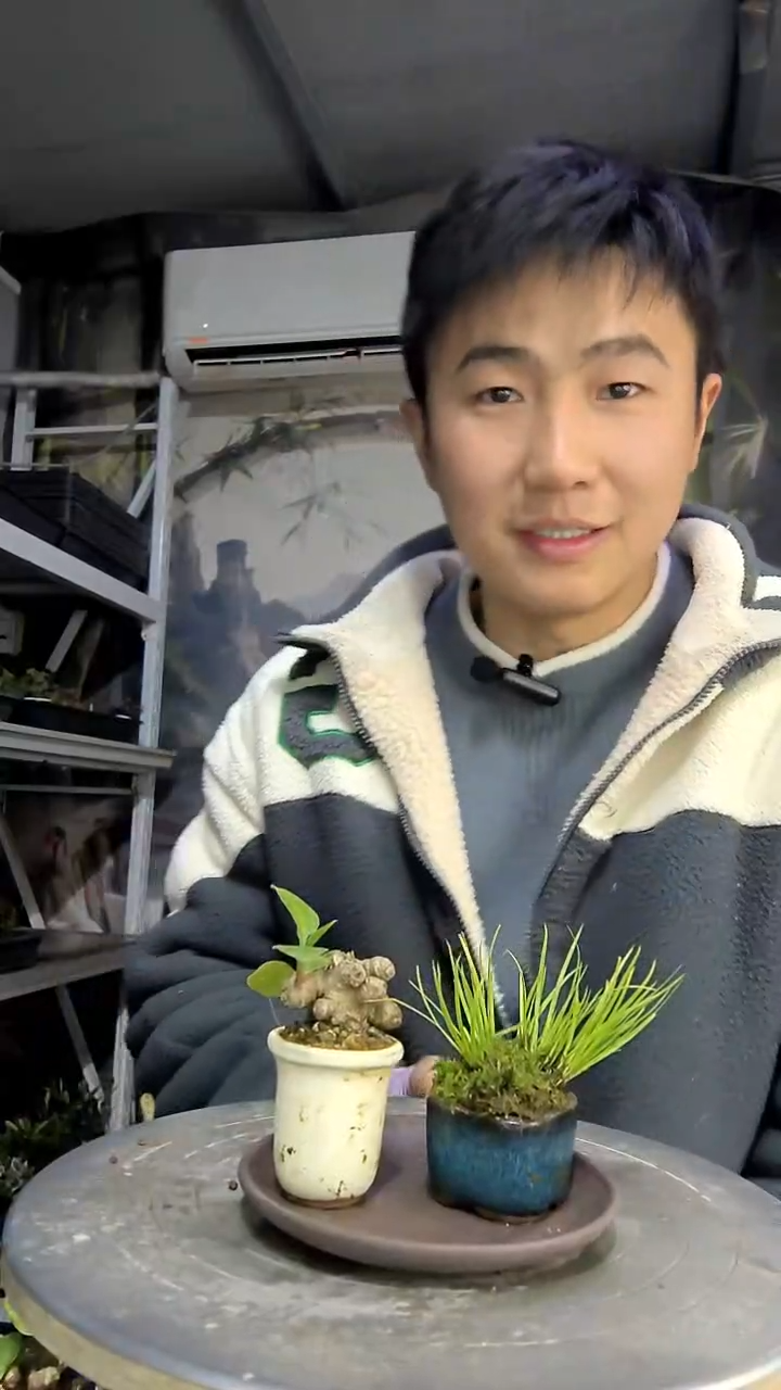 ?***裆中青园艺一物一拍花118