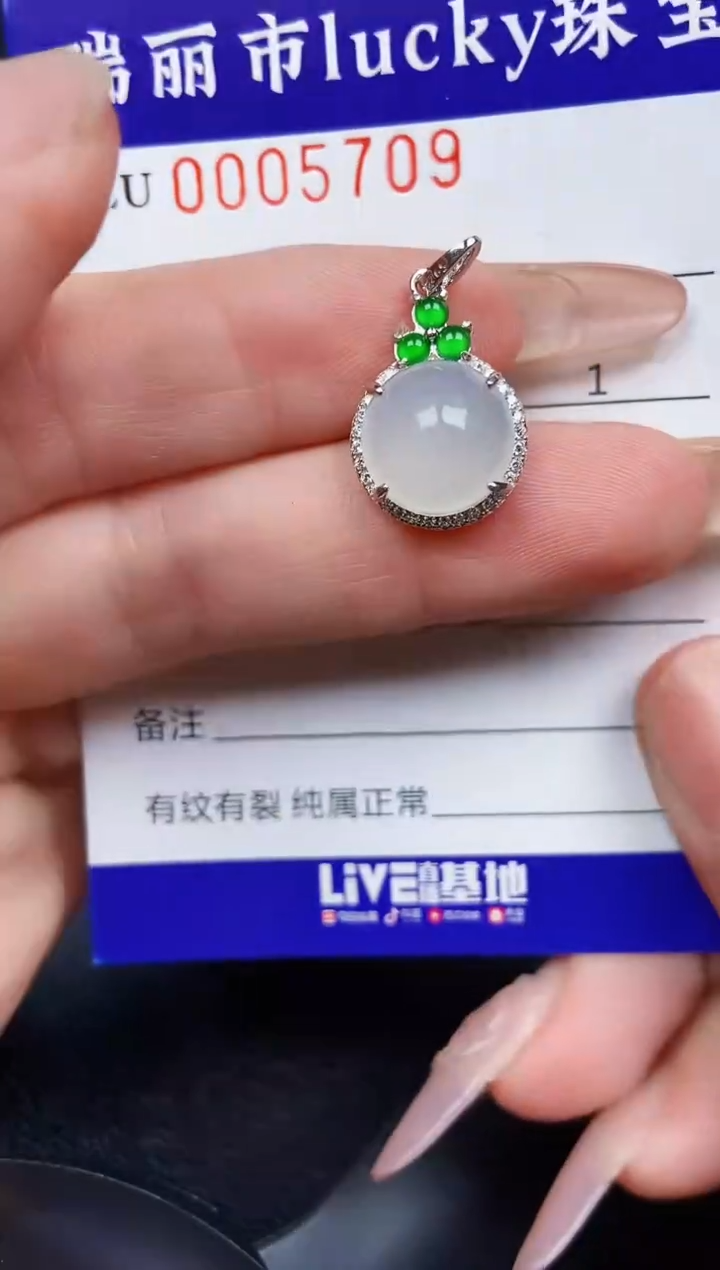 翡翠银S925镶嵌颈饰5709