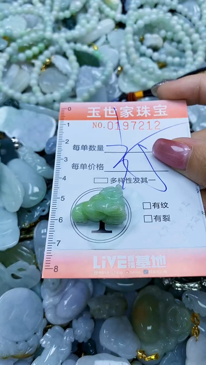 【闪购商品】翡翠颈饰未镶嵌闪购0197212