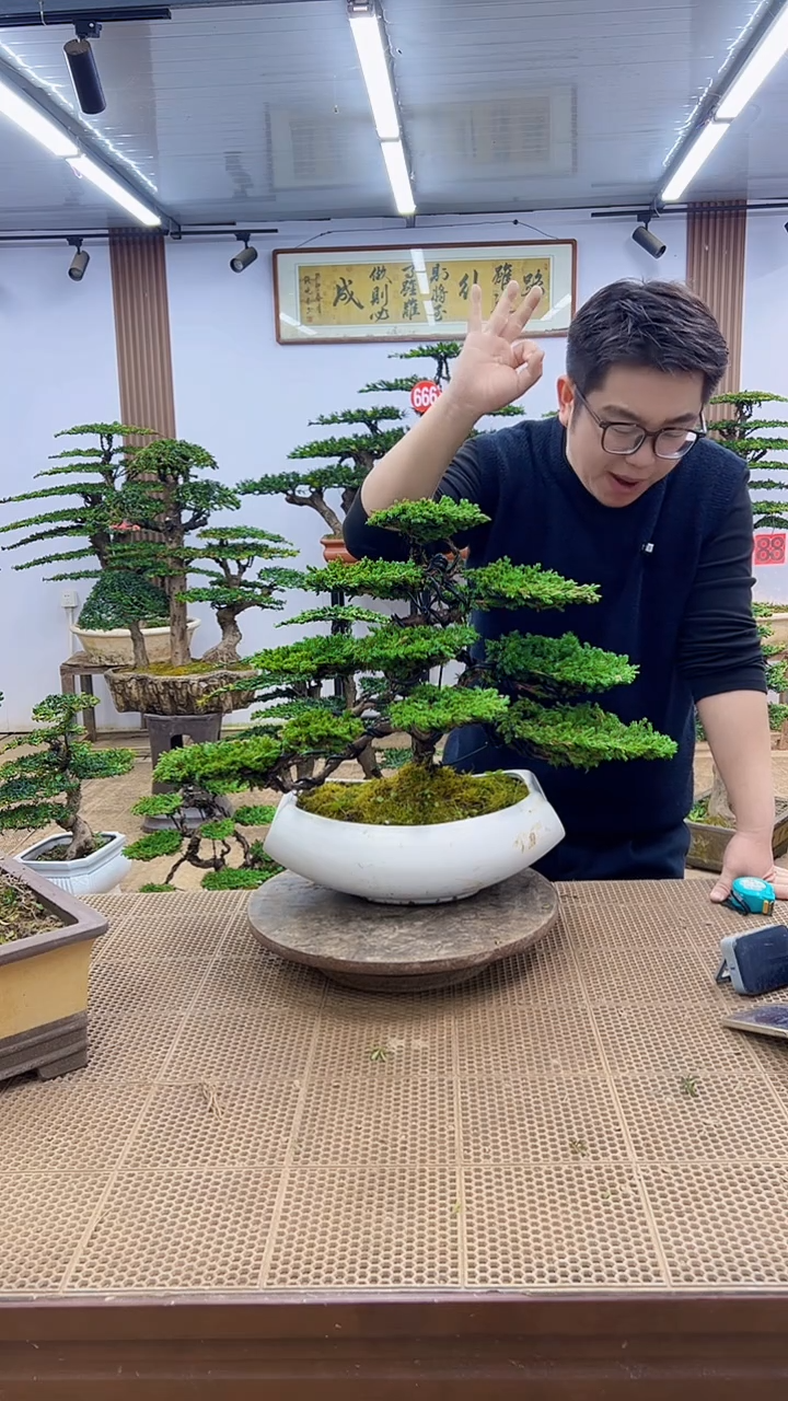 无花朵一物一拍，所见即所得