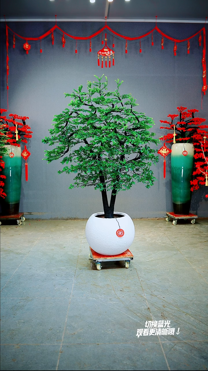 以实际为准用**T一物一拍绿植