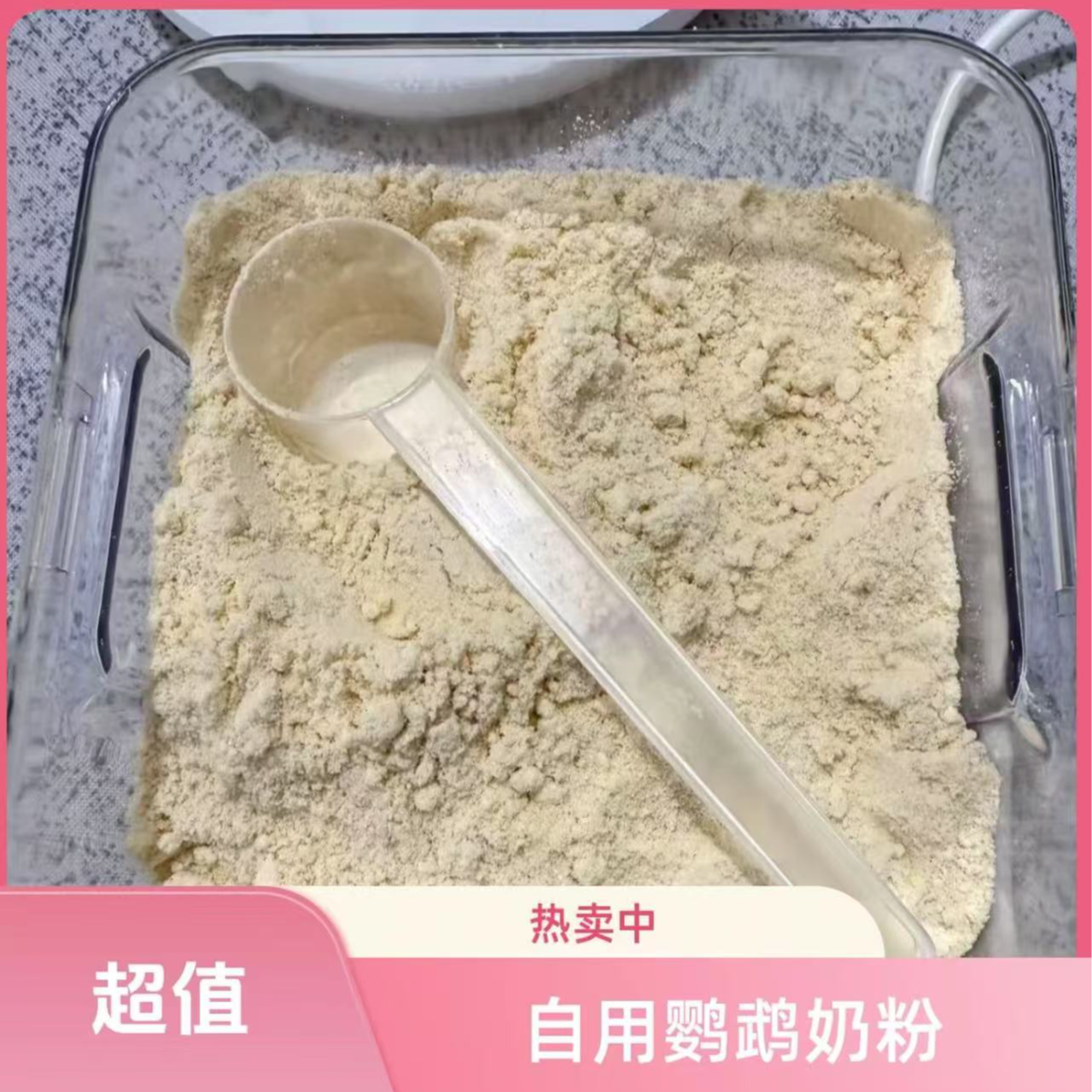 手养鹦鹉必备奶粉鹦鹉奶粉手养鹦鹉自用奶粉