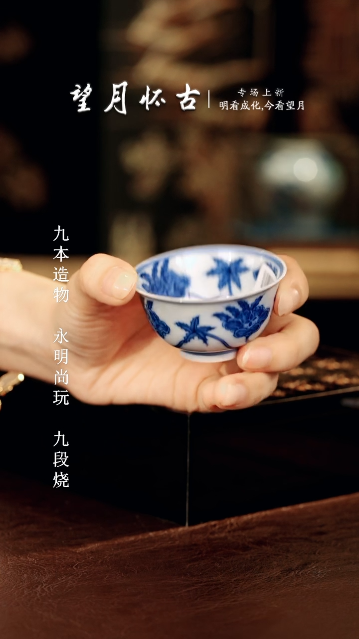 望月怀古............