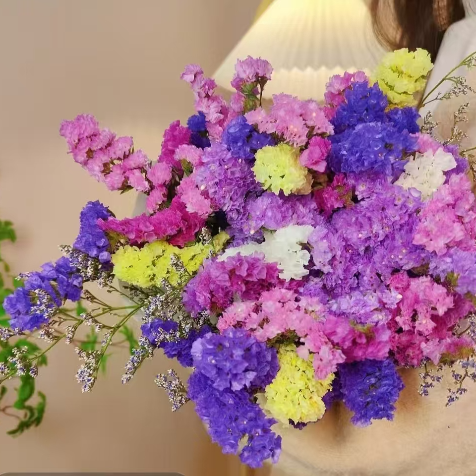 【俩斤装勿忘我】到手俩束勿忘我云南基地直发可做干花