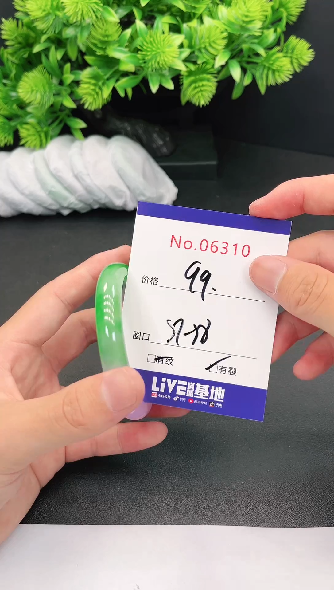 未镶嵌手镯翡翠6310