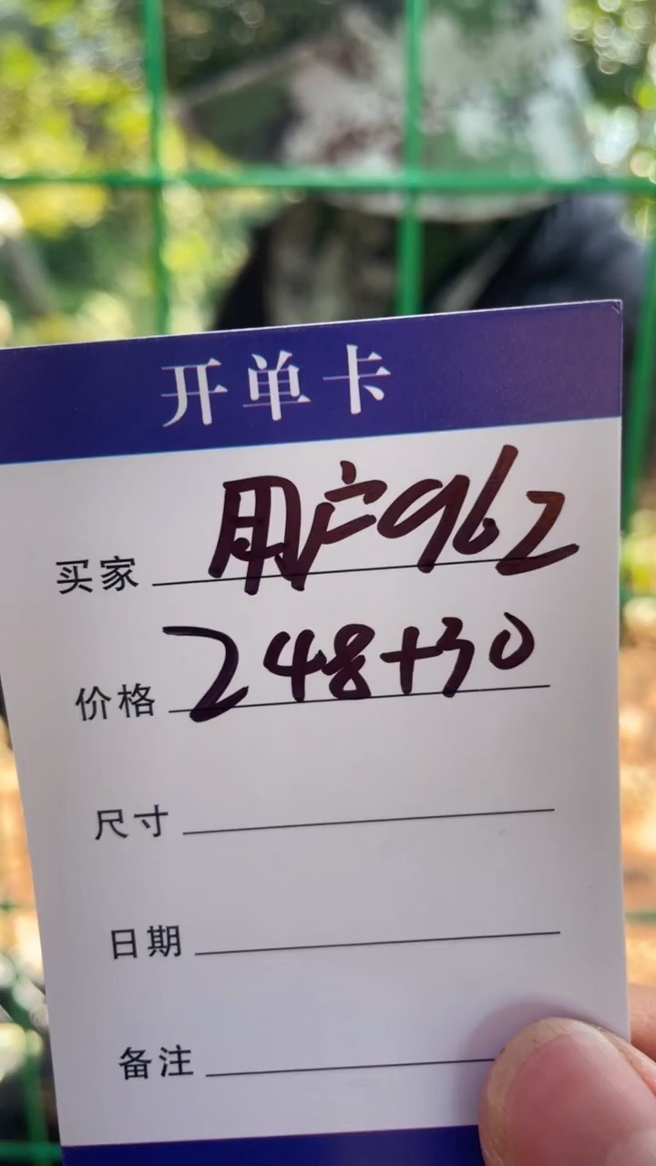 非金属无用****2手镯下单链接秒拍秒付