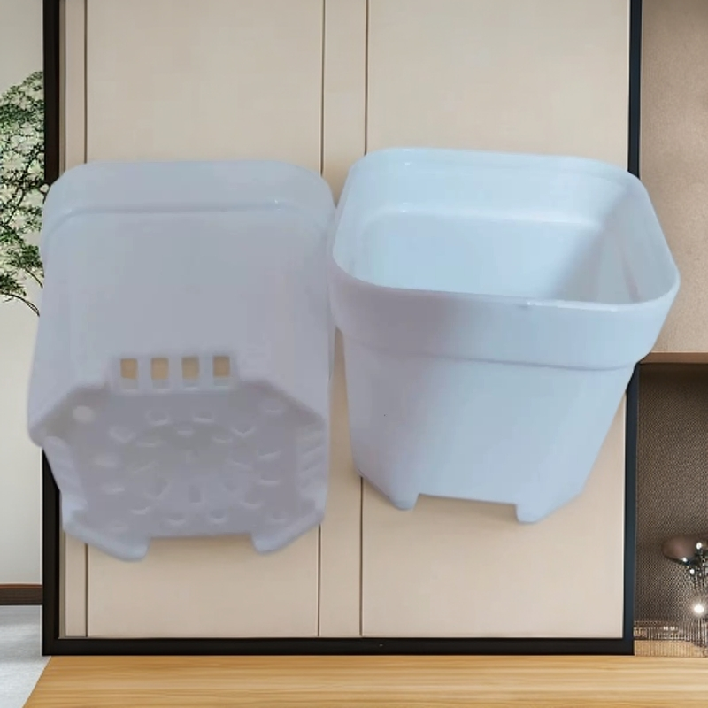 童子功提根瓜子黄杨茶台小品