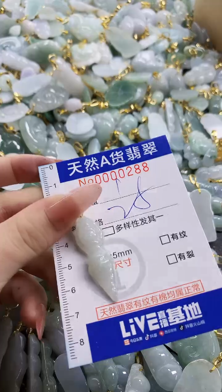 颈饰未镶嵌翡翠天然A货翡翠