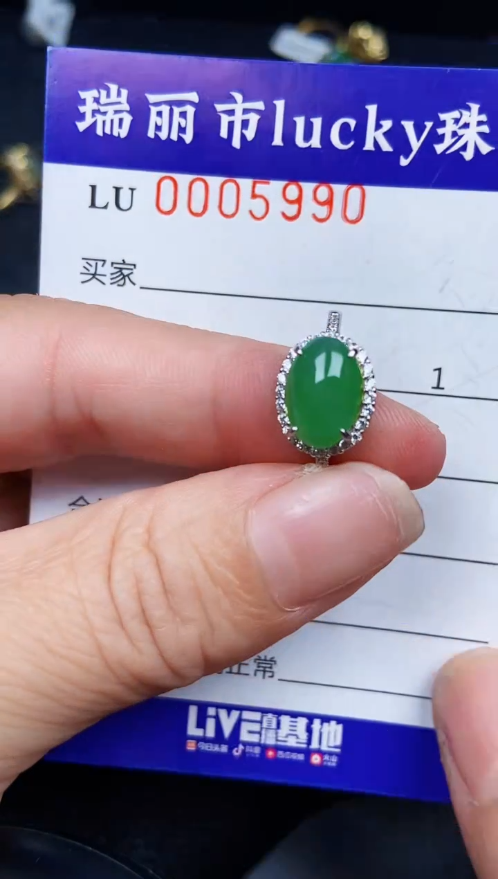 翡翠银S925镶嵌颈饰5990