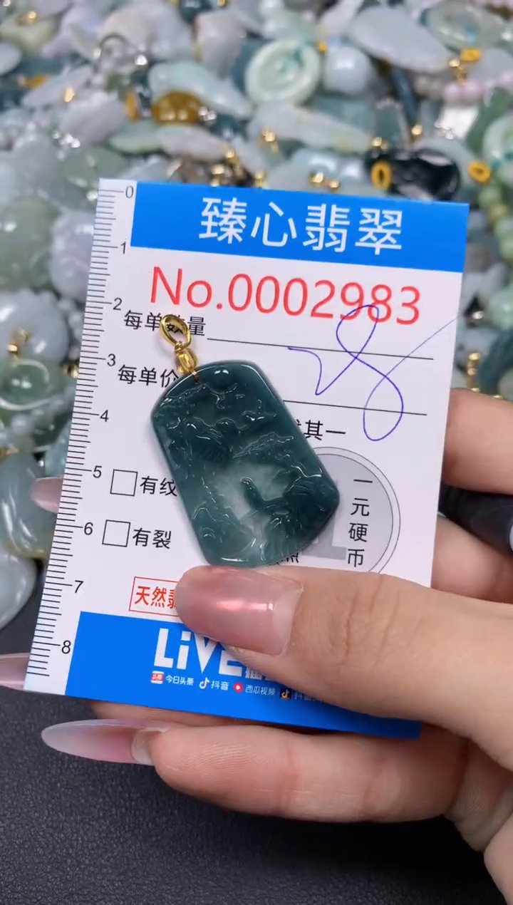 【闪购商品】翡翠颈饰未镶嵌含绳0002983