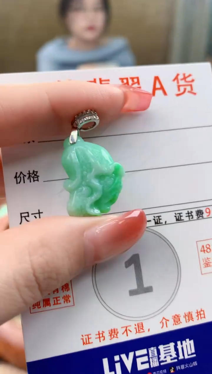 颈饰未镶嵌翡翠天然A货翡翠挂件