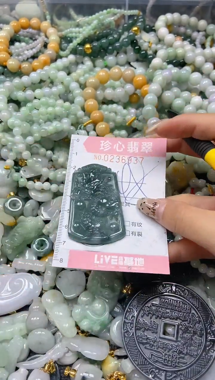 翡翠未镶嵌颈饰闪购0236937