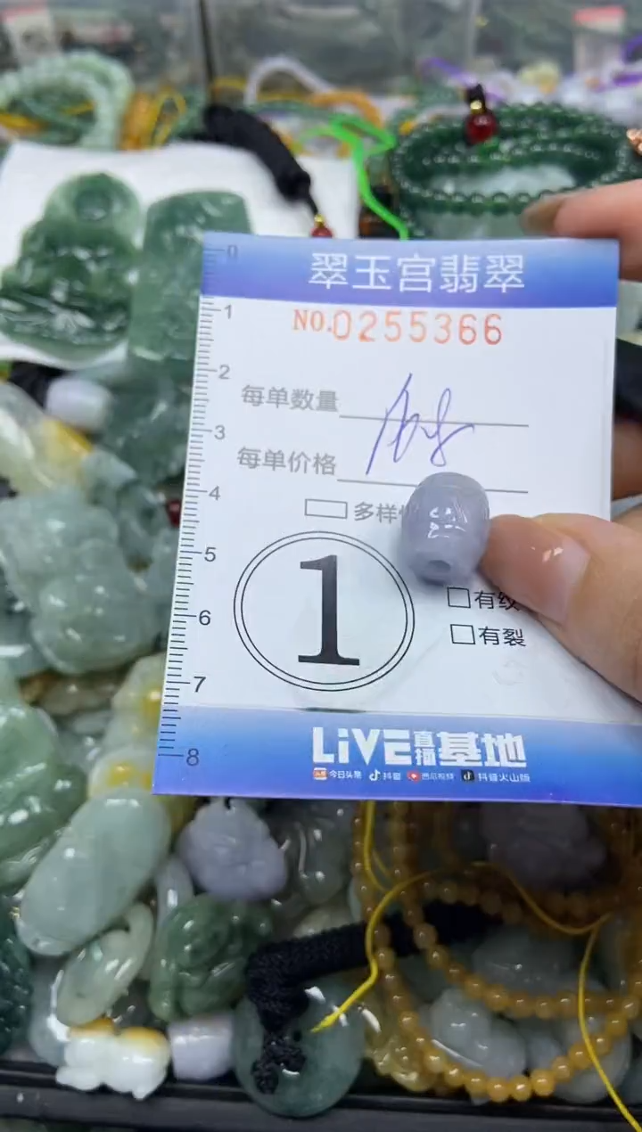 颈饰未镶嵌翡翠闪购C0255366