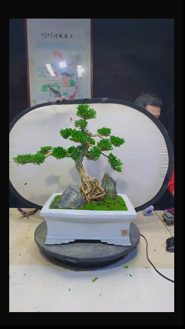 无花朵锋*11111111111