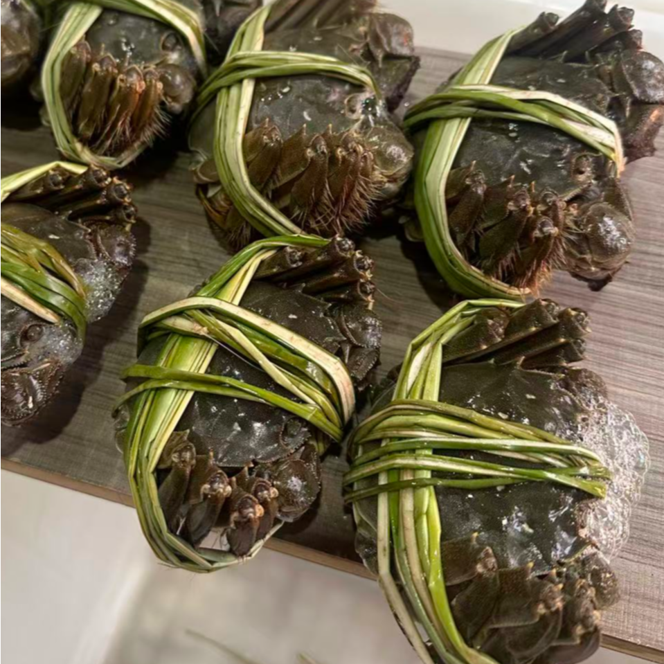 【活蟹】兴化大闸蟹 母蟹2.3-2.6两8-10只装鲜活现货（中秋活动)包邮