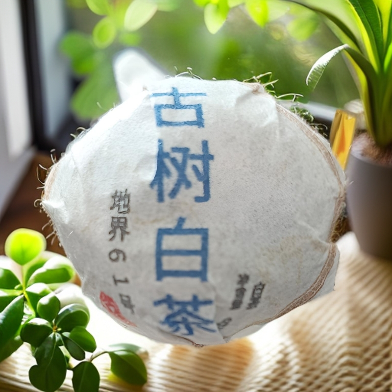 2025 春） 20 颗  冰岛地界古树白茶小龙珠