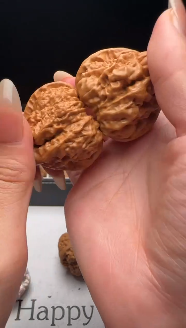 大叶紫檀（黑酸枝木类）鸭**給04