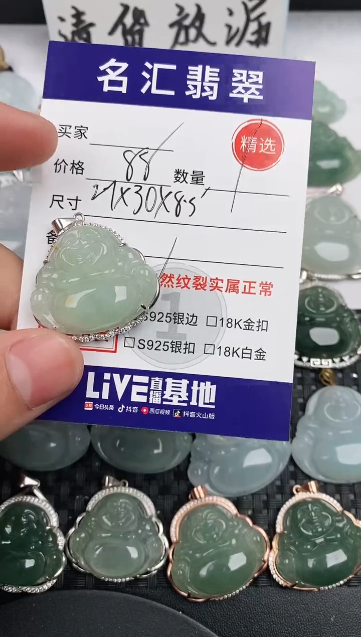 颈饰银S925镶嵌翡翠`