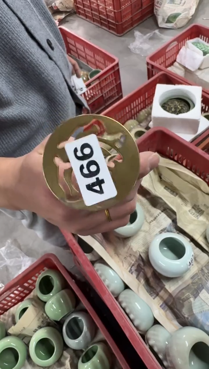 【466 】 八哥专拍