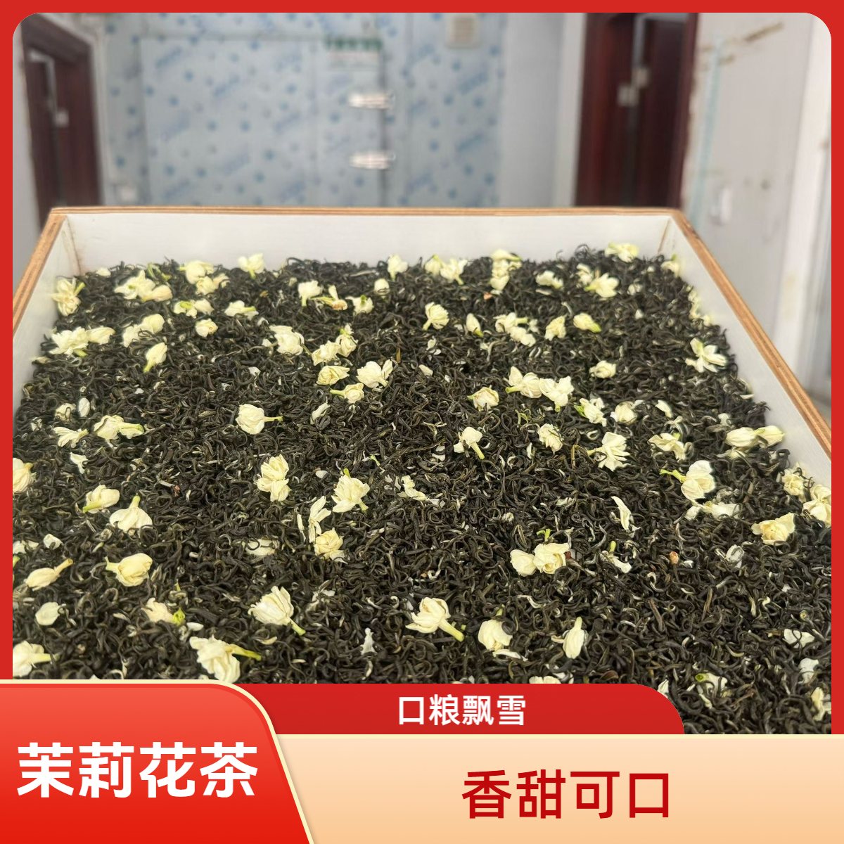 茉莉花茶 精品飘雪 甜感直接 口感显甘 生津快速