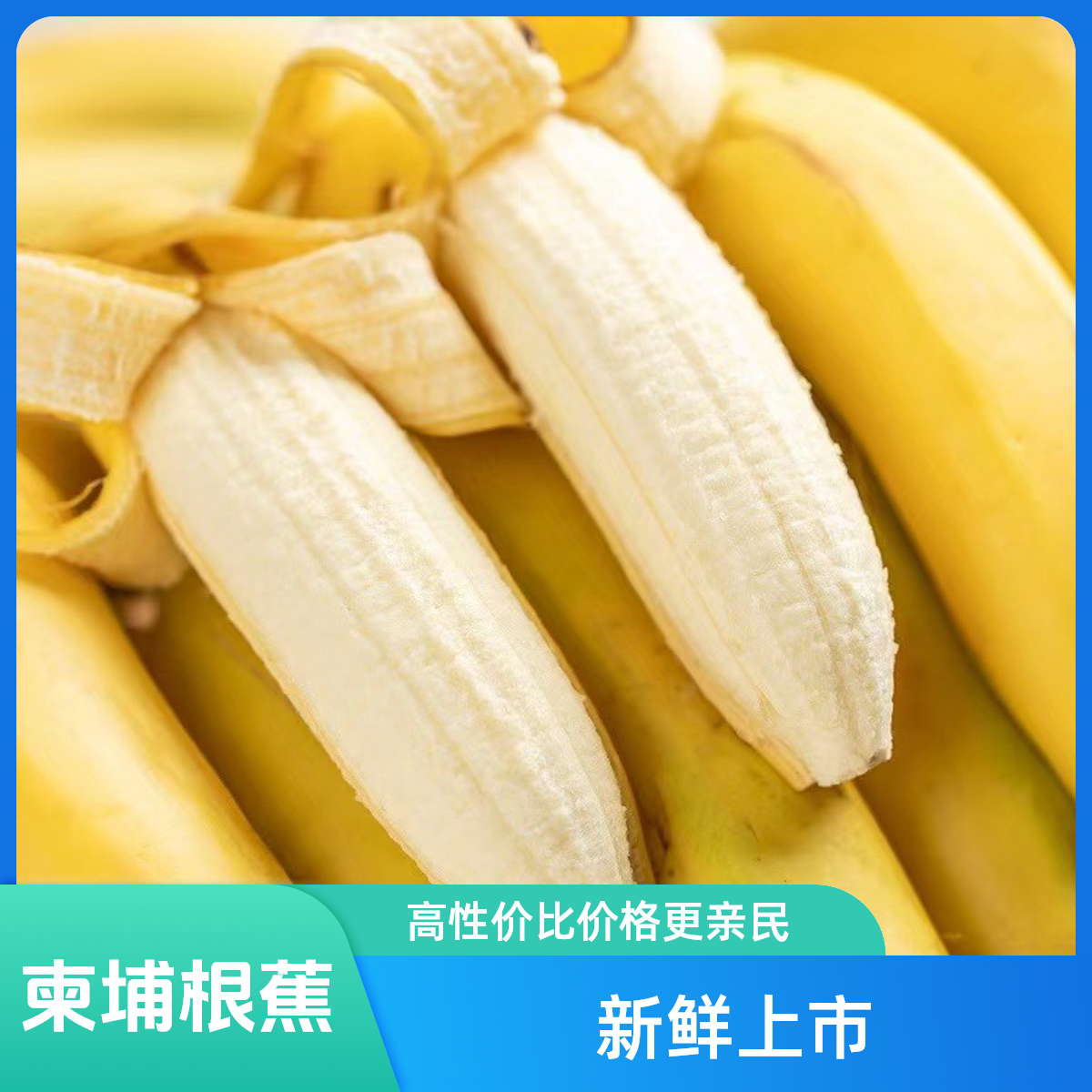 柬埔寨单根蕉（约3斤左右）新鲜水果