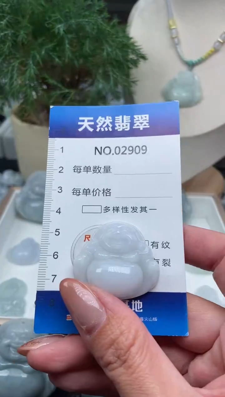 颈饰未镶嵌翡翠纯天然A货缅翡2909